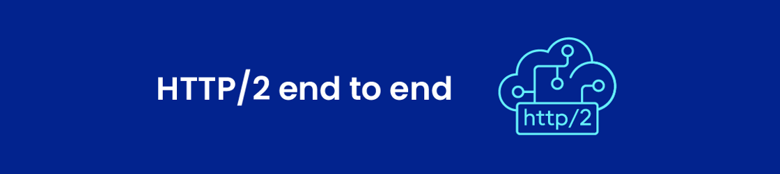 ngrok-newsletter-jan-2024_banner-http2-rev