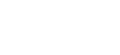 ngrok-white-med